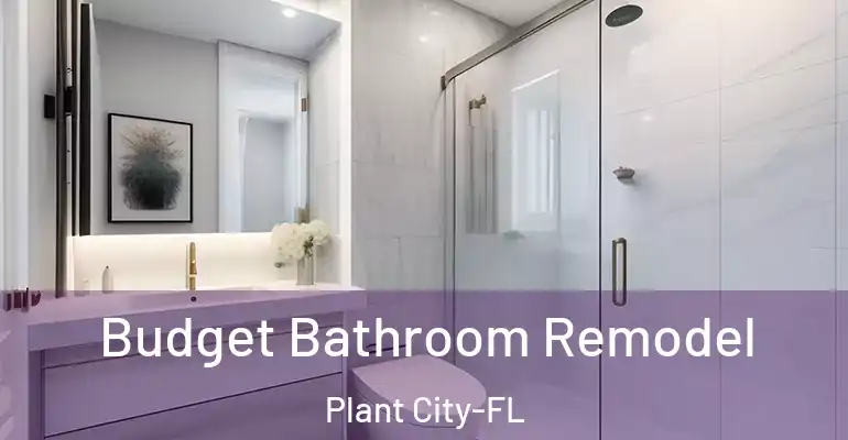 inner Bathroom imggen Budget Bathroom Remodel Plant City-FL