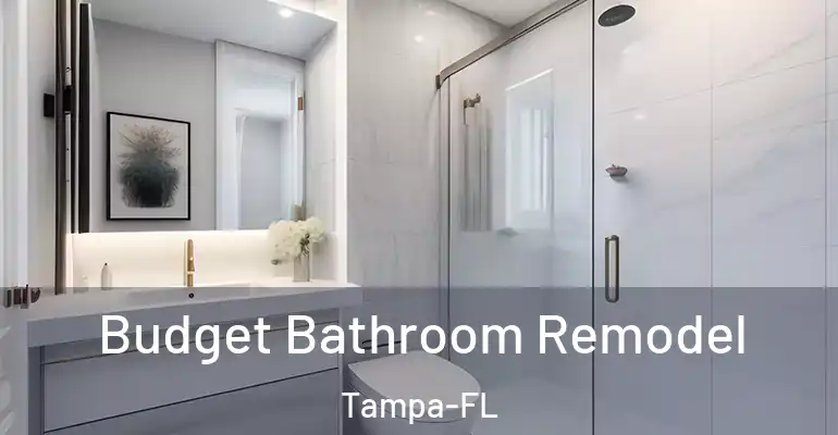 inner Bathroom imggen Budget Bathroom Remodel Tampa-FL