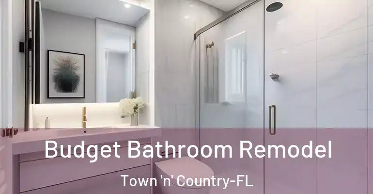 inner Bathroom imggen Budget Bathroom Remodel Town 'n' Country-FL
