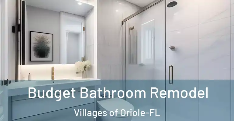 inner Bathroom imggen Budget Bathroom Remodel Villages of Oriole-FL