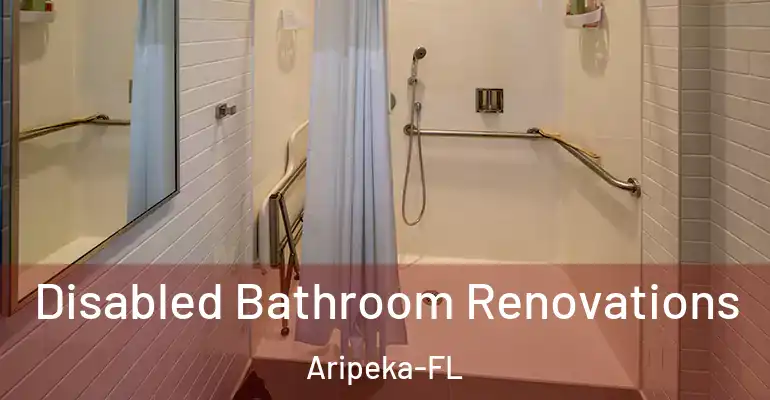 inner Bathroom imggen Disabled Bathroom Renovations Aripeka-FL