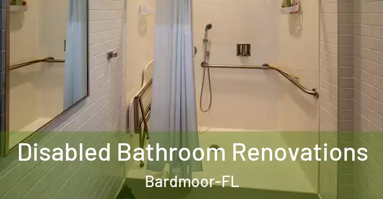inner Bathroom imggen Disabled Bathroom Renovations Bardmoor-FL