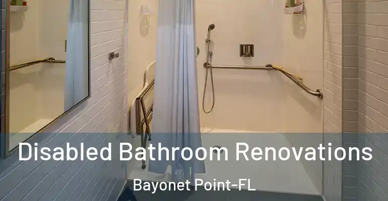 inner Bathroom imggen Disabled Bathroom Renovations Bayonet Point-FL