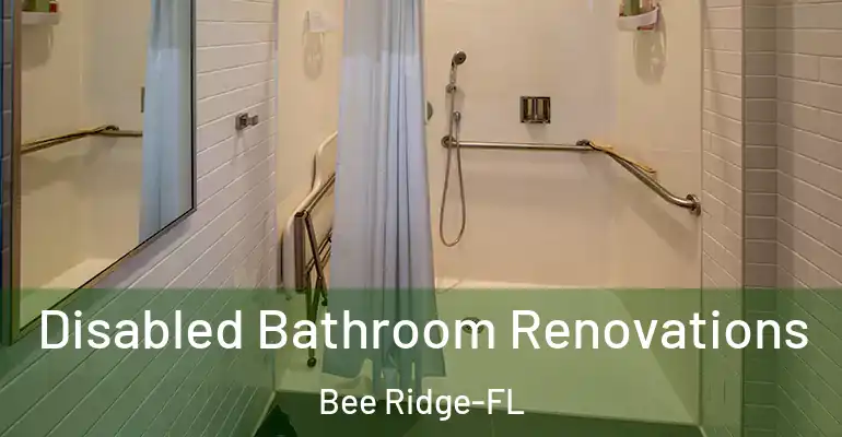 inner Bathroom imggen Disabled Bathroom Renovations Bee Ridge-FL