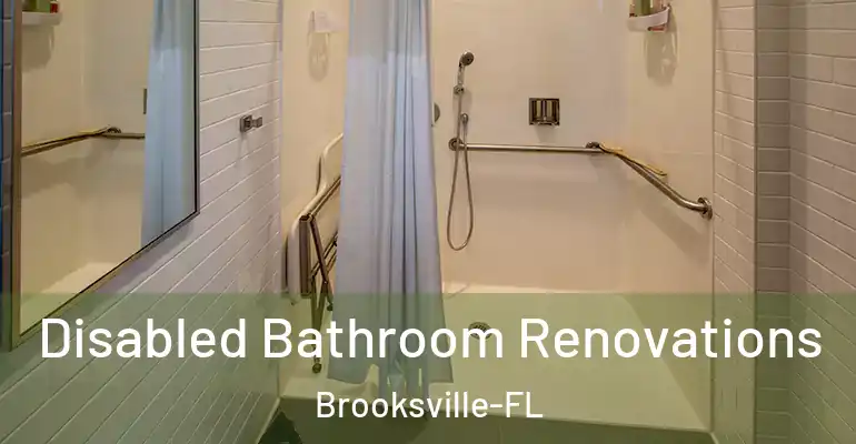 inner Bathroom imggen Disabled Bathroom Renovations Brooksville-FL
