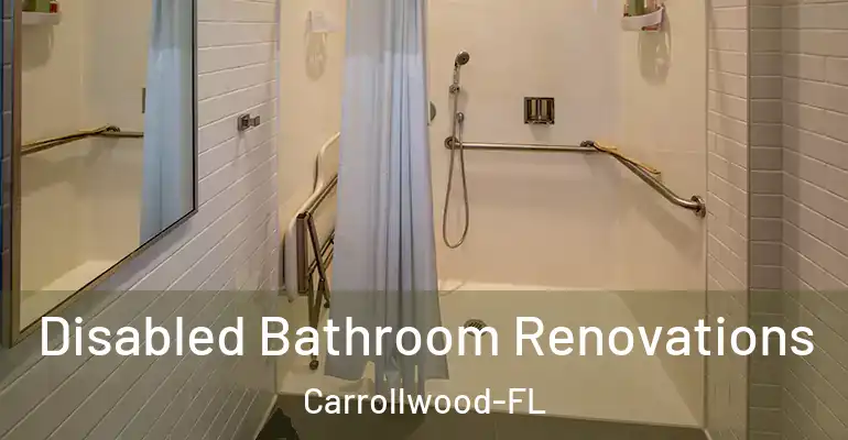 inner Bathroom imggen Disabled Bathroom Renovations Carrollwood-FL