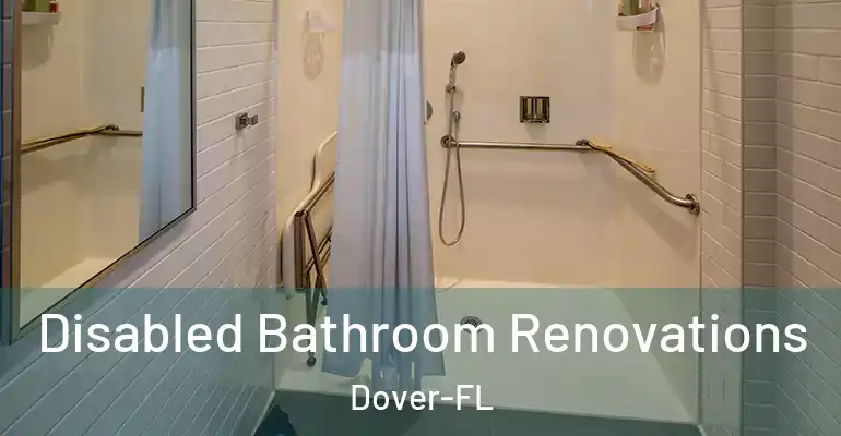 inner Bathroom imggen Disabled Bathroom Renovations Dover-FL