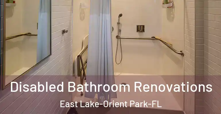 inner Bathroom imggen Disabled Bathroom Renovations East Lake-Orient Park-FL