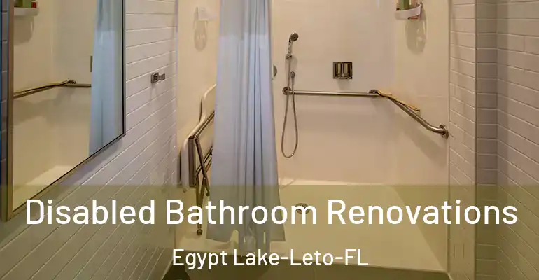 inner Bathroom imggen Disabled Bathroom Renovations Egypt Lake-Leto-FL