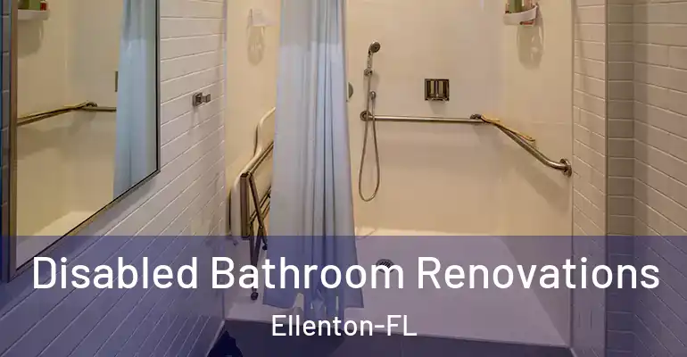 inner Bathroom imggen Disabled Bathroom Renovations Ellenton-FL