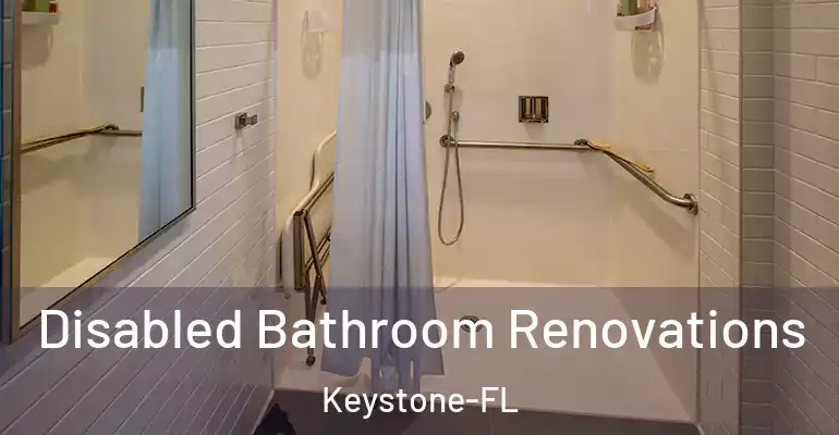 inner Bathroom imggen Disabled Bathroom Renovations Keystone-FL
