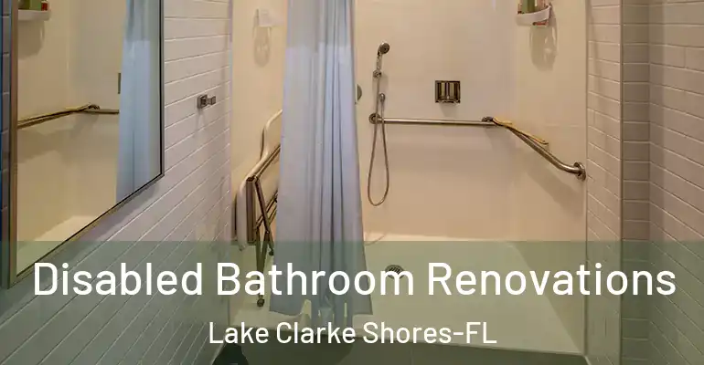 inner Bathroom imggen Disabled Bathroom Renovations Lake Clarke Shores-FL