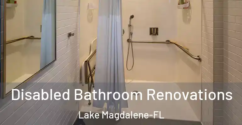 inner Bathroom imggen Disabled Bathroom Renovations Lake Magdalene-FL