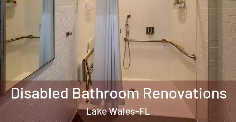 inner Bathroom imggen Disabled Bathroom Renovations Lake Wales-FL