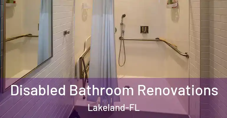 inner Bathroom imggen Disabled Bathroom Renovations Lakeland-FL