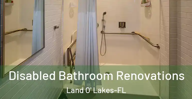 inner Bathroom imggen Disabled Bathroom Renovations Land O' Lakes-FL