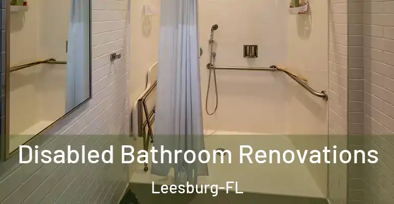 inner Bathroom imggen Disabled Bathroom Renovations Leesburg-FL