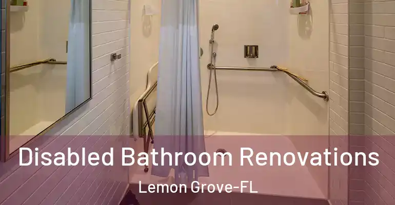 inner Bathroom imggen Disabled Bathroom Renovations Lemon Grove-FL