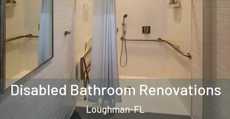 inner Bathroom imggen Disabled Bathroom Renovations Loughman-FL