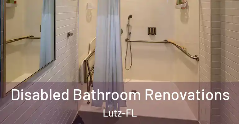 inner Bathroom imggen Disabled Bathroom Renovations Lutz-FL