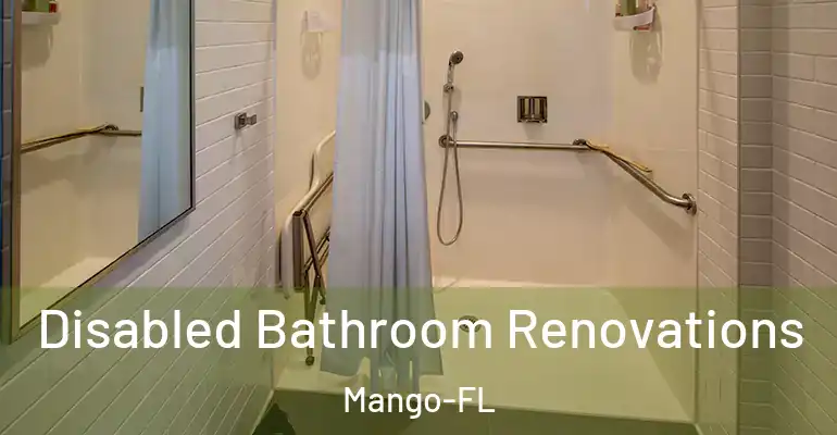 inner Bathroom imggen Disabled Bathroom Renovations Mango-FL