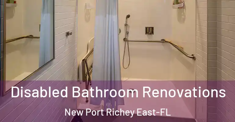 inner Bathroom imggen Disabled Bathroom Renovations New Port Richey East-FL