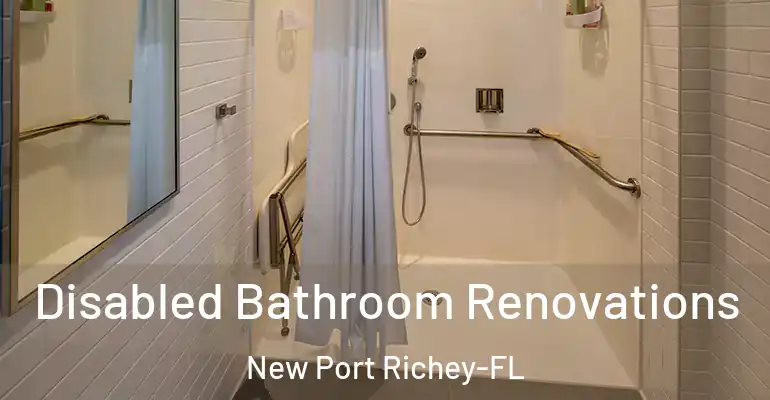 inner Bathroom imggen Disabled Bathroom Renovations New Port Richey-FL