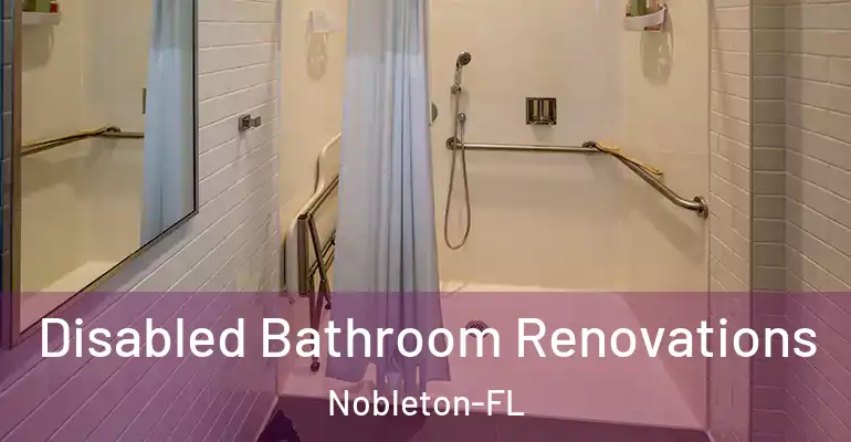 inner Bathroom imggen Disabled Bathroom Renovations Nobleton-FL