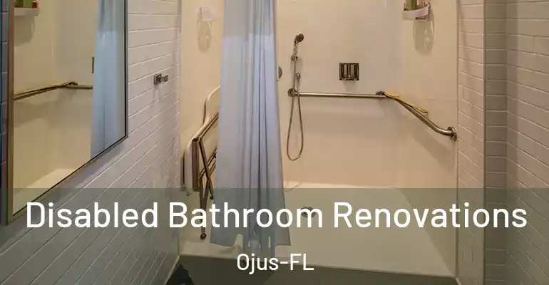 inner Bathroom imggen Disabled Bathroom Renovations Ojus-FL