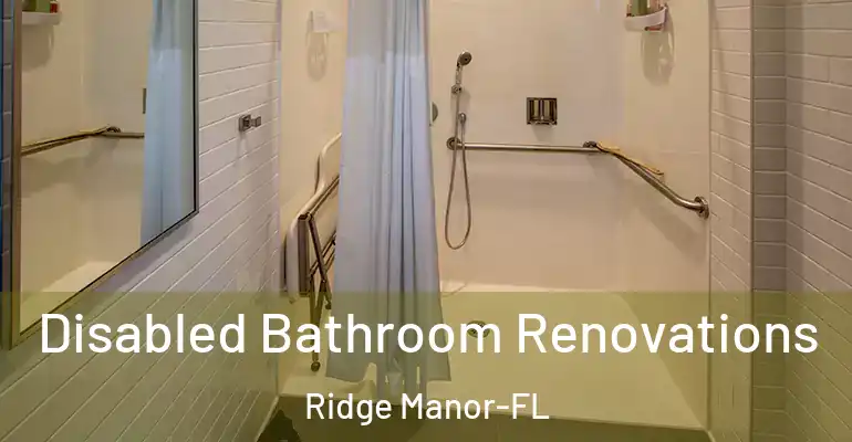 inner Bathroom imggen Disabled Bathroom Renovations Ridge Manor-FL