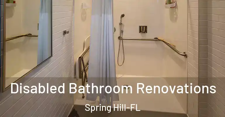 inner Bathroom imggen Disabled Bathroom Renovations Spring Hill-FL