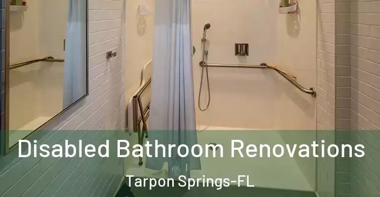 inner Bathroom imggen Disabled Bathroom Renovations Tarpon Springs-FL