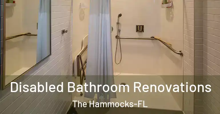 inner Bathroom imggen Disabled Bathroom Renovations The Hammocks-FL