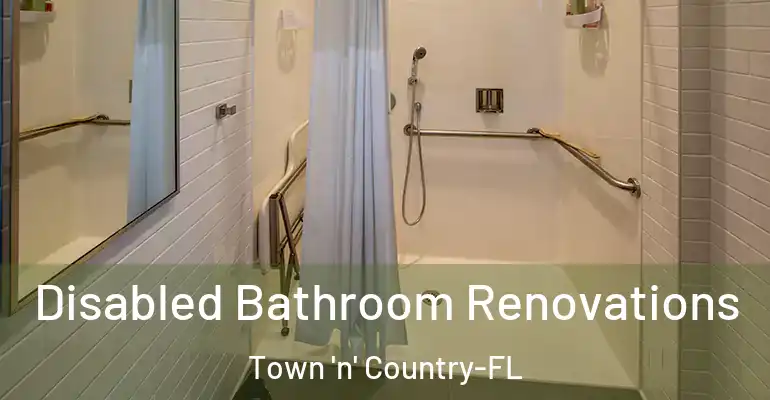 inner Bathroom imggen Disabled Bathroom Renovations Town 'n' Country-FL