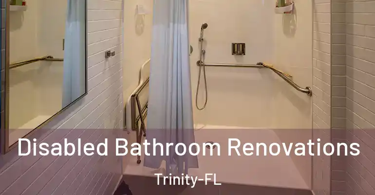 inner Bathroom imggen Disabled Bathroom Renovations Trinity-FL