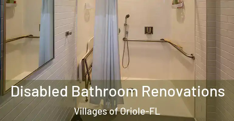 inner Bathroom imggen Disabled Bathroom Renovations Villages of Oriole-FL
