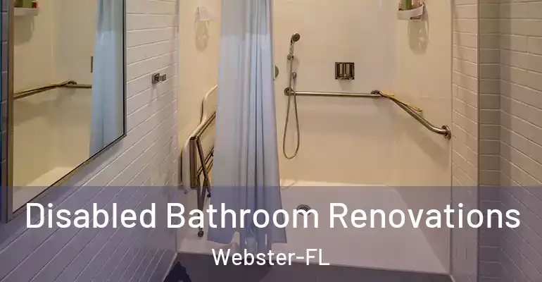 inner Bathroom imggen Disabled Bathroom Renovations Webster-FL