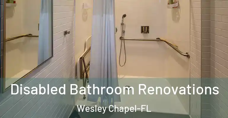 inner Bathroom imggen Disabled Bathroom Renovations Wesley Chapel-FL