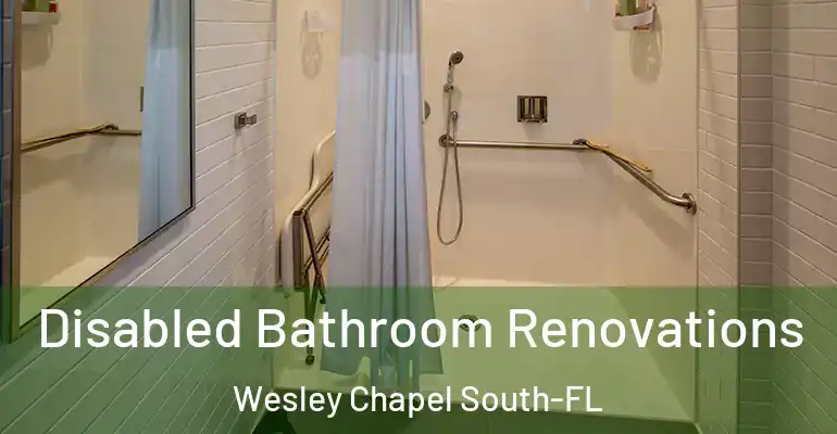 inner Bathroom imggen Disabled Bathroom Renovations Wesley Chapel South-FL