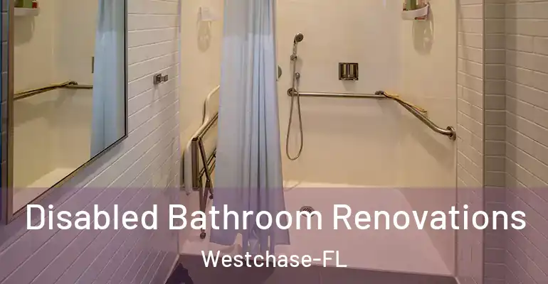 inner Bathroom imggen Disabled Bathroom Renovations Westchase-FL