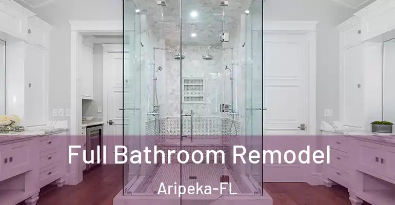 inner Bathroom imggen Full Bathroom Remodel Aripeka-FL