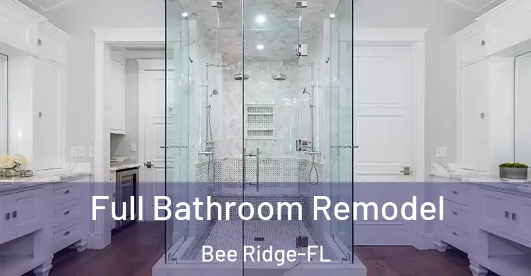 inner Bathroom imggen Full Bathroom Remodel Bee Ridge-FL