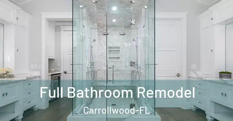 inner Bathroom imggen Full Bathroom Remodel Carrollwood-FL