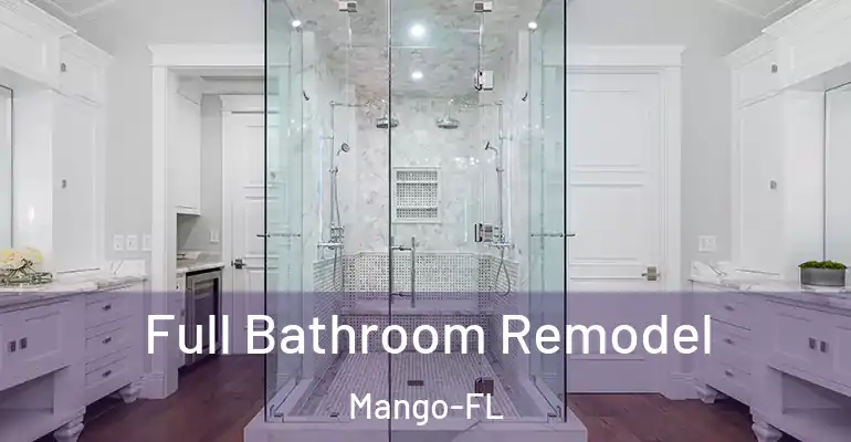 inner Bathroom imggen Full Bathroom Remodel Mango-FL