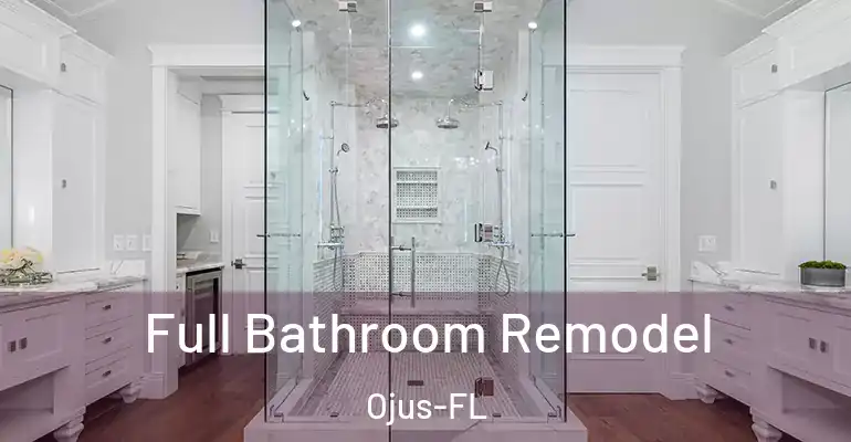 inner Bathroom imggen Full Bathroom Remodel Ojus-FL