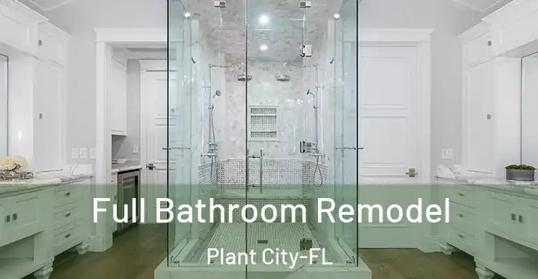 inner Bathroom imggen Full Bathroom Remodel Plant City-FL