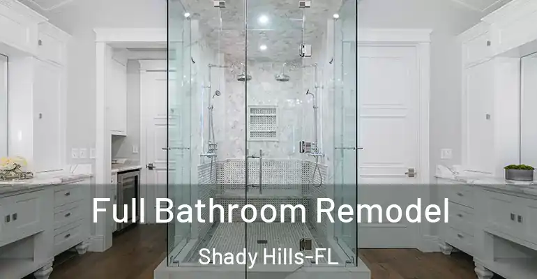 inner Bathroom imggen Full Bathroom Remodel Shady Hills-FL