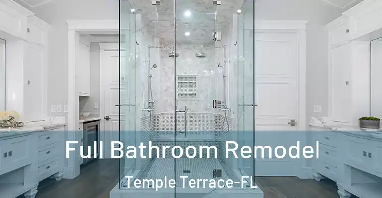 inner Bathroom imggen Full Bathroom Remodel Temple Terrace-FL