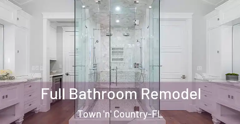 inner Bathroom imggen Full Bathroom Remodel Town 'n' Country-FL