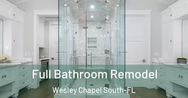 inner Bathroom imggen Full Bathroom Remodel Wesley Chapel South-FL